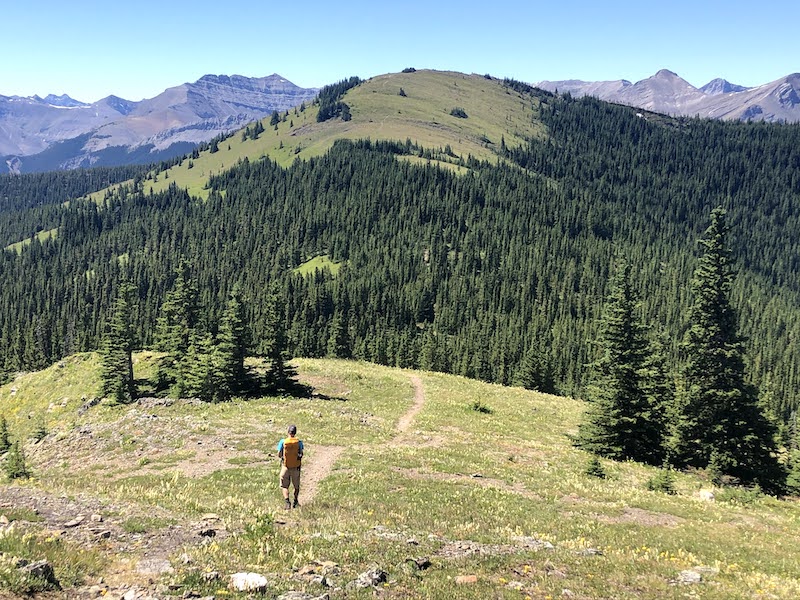 Jumpingpound Summit & beyond, Kananaskis Fit Frog Adventures