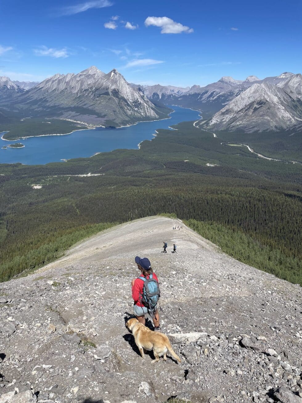Tent Ridge Fall Tent Ridge Horseshoe, Kananaskis | Fit Frog Adventures