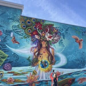 Club Fit Frog Drop-In