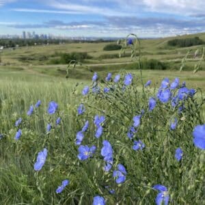 Club Fit Frog membership (multiple walks & hikes)